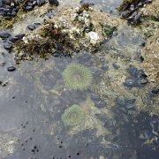 CoastCamp 128 : CoastCamp